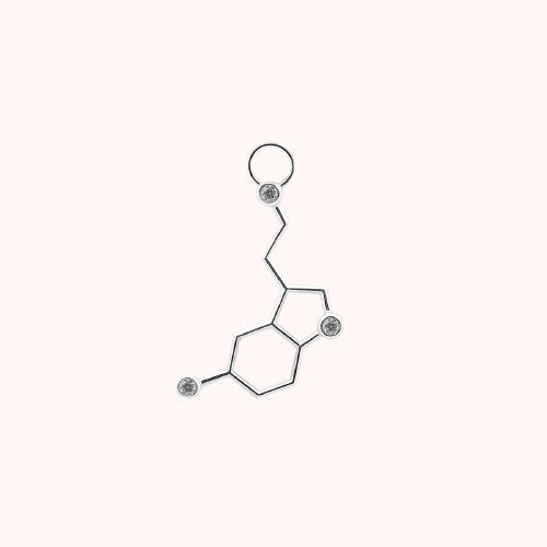 Serotonin Charm Silver